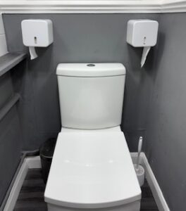 Toilet roll holder white affixed both sides of a white toilet on a grey wall.